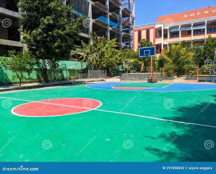 Basketball Courts in Singapore | Own Your Court