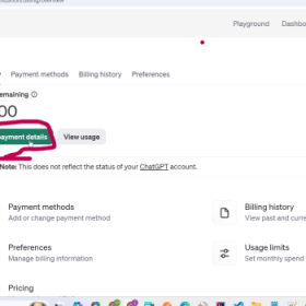 OpenAI API 에러 : RateLimitError: Error code: 429 - {'error': {'message ...