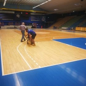 Jasa pasang lantai parket lapangan basket lantaiparket.id