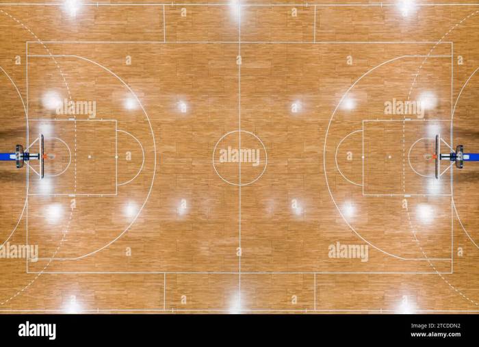 Basketball court with parquet wood board Vector Image