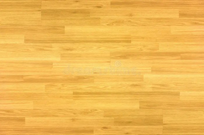 Wood Floor Parquet Hardwood Maple Basketball Court Floor Viewed Stock ...