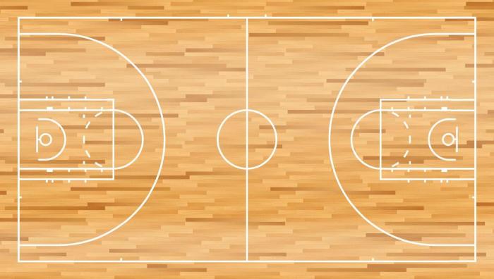 Rekomendasi warna garis lapangan basket pada parket