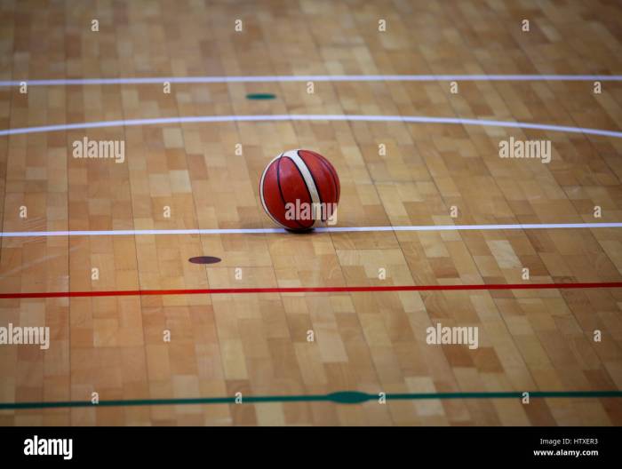 Premium Photo | Basketball court parquet floor with classic ball Perawatan harian lantai lapangan basket parket