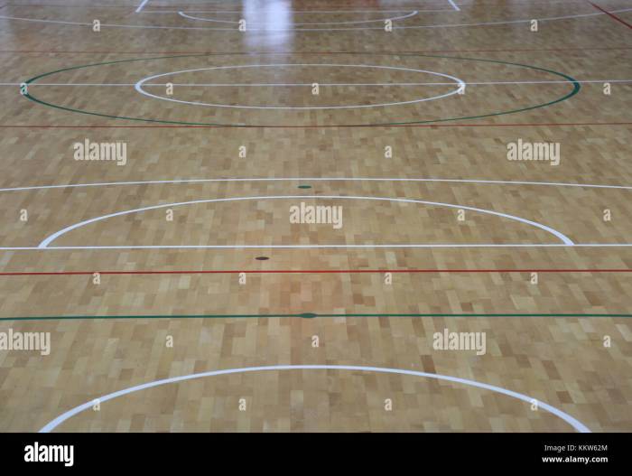Wooden parquet with the lines of the basketball court and volleyball ...