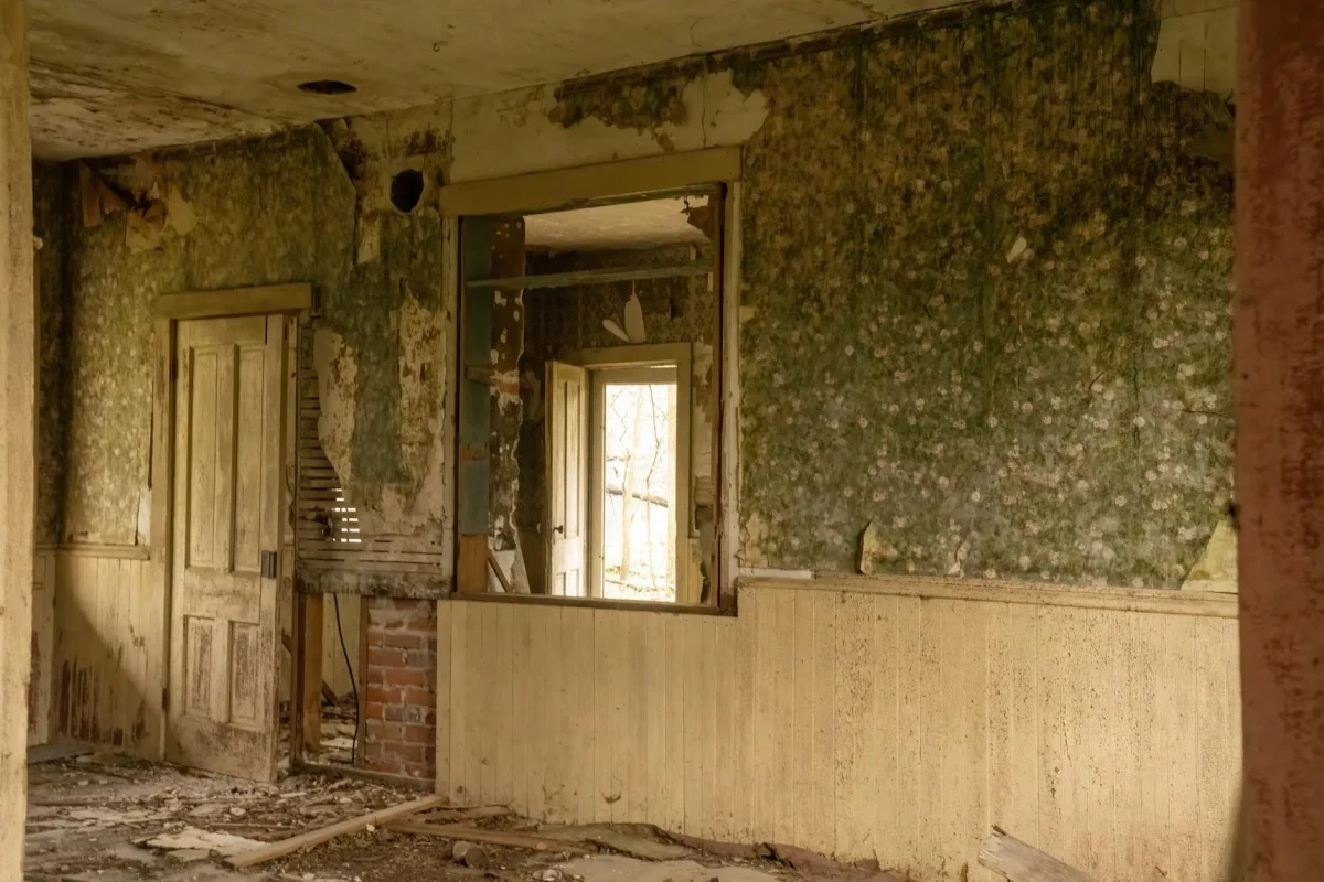 Foto oleh Tom Fisk di Pexels Damaged Floor Moldy Wood