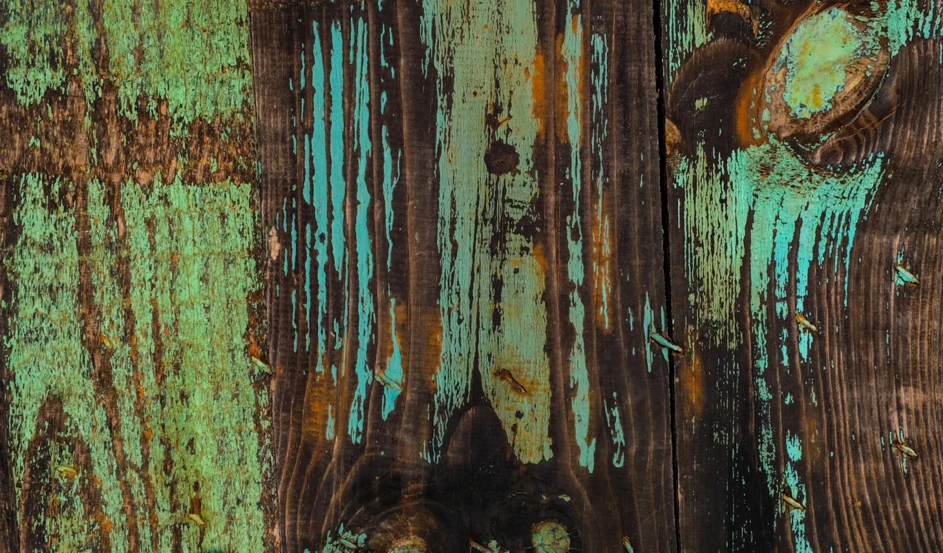 Apakah Lantai Parket Tahan Air? Panduan Lengkap 2026 3 Damaged Floor Moldy Wood