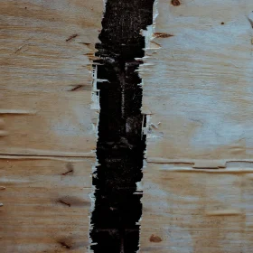 Jasa Poles & Cairan Poles Lantai Kayu Olahraga 2026 10 Damaged Floor Wood Texture
