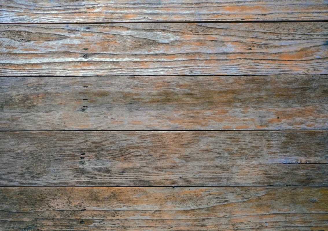 Solusi Lantai Kayu Lembab & Bergelombang 2026 2 Damaged Wood Floor Mold Growth Warped Parquet