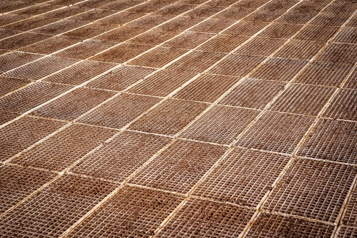 Lantai Kayu vs Lantai Vinyl Basket: Mana yang Terbaik 2026? 4 Durable Flooring Construction Material