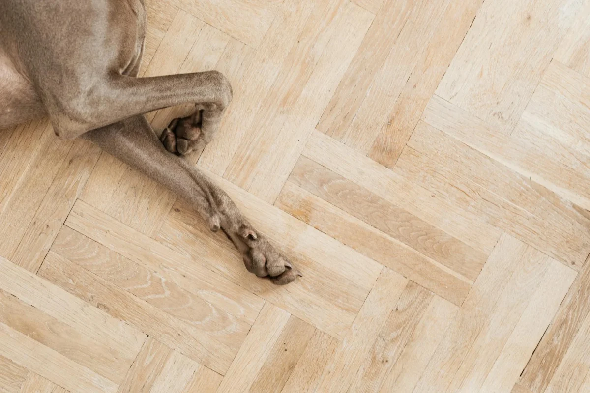 Foto oleh www.kaboompics.com di Pexels Durable Flooring Hardwood