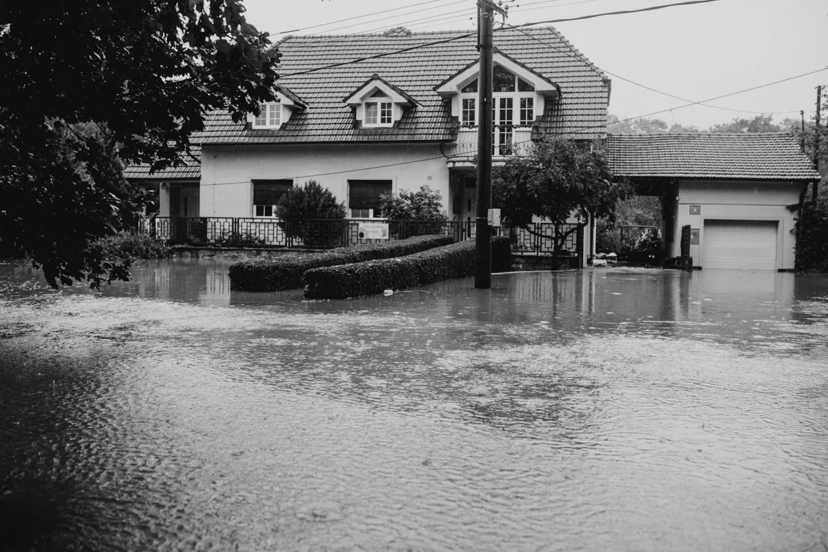 Parket Kayu Terkena Banjir? Solusi & Jasa Pasang 2026 2 Flooded Floor Wet Wood