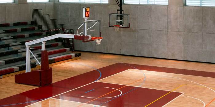 Background - Basketball Court | Cost of wood flooring, Basketball court ...