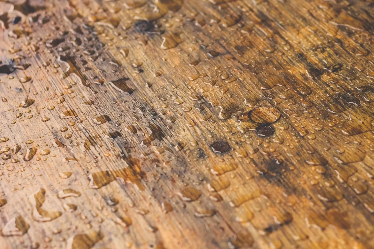 Kelebihan dan Kekurangan Lantai Parket Kayu 2026 2 Hardwood Durable Surface