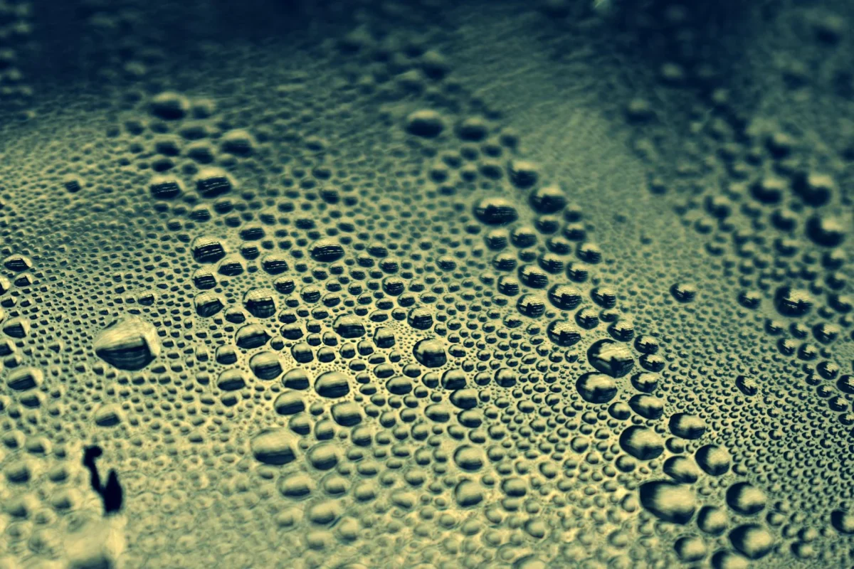 Solid Wood vs Engineered Wood: Mana yang Terbaik di 2026? 5 Humidity Sensor Water Drops