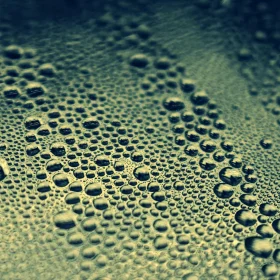 Solid Wood vs Engineered Wood: Mana yang Terbaik di 2026? 9 Humidity Sensor Water Drops