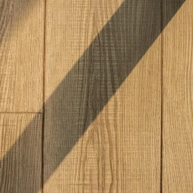 Indoor Stadium Hardwood Floor