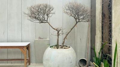 interior design patio garden Interior Design Patio Garden