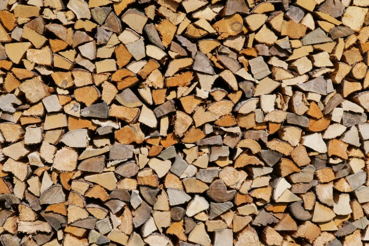 Maple Wood Oak Timber