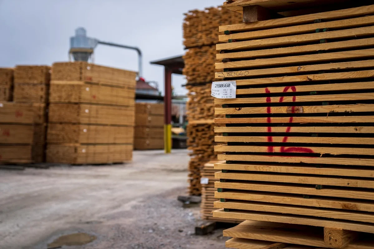 Jasa Pasang Lantai Kayu Basket Standar NBA 2026 2 Maple Wood Timber Planks