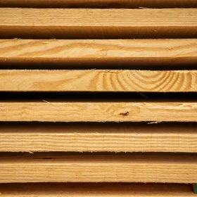 Cara Pasang Lantai Kayu Basket Standar FIBA 2026 9 Maple Wood Wood Planks Construction Materials