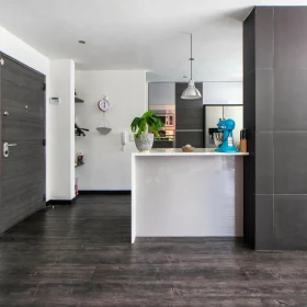 Modern Interior Dark Floor Design