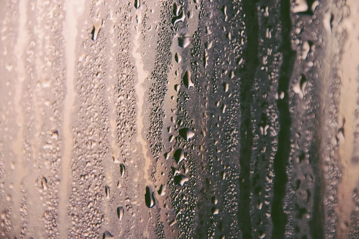 Foto oleh CARTIST . di Pexels Moisture Meter Humid Basement