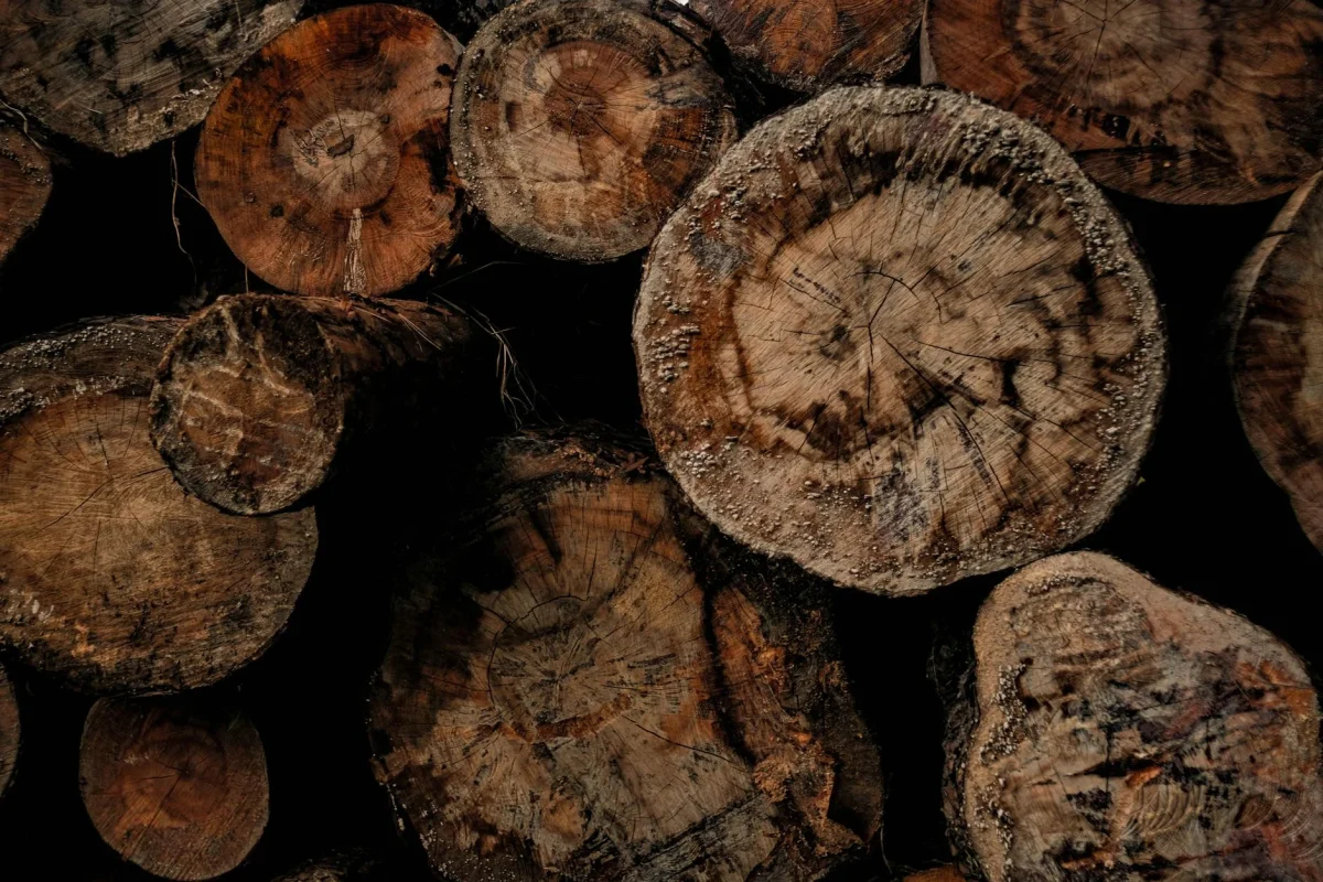 Cara Mengatasi Lantai Parket Kayu Menggelembung 2026 2 Moisture Meter Wood Texture