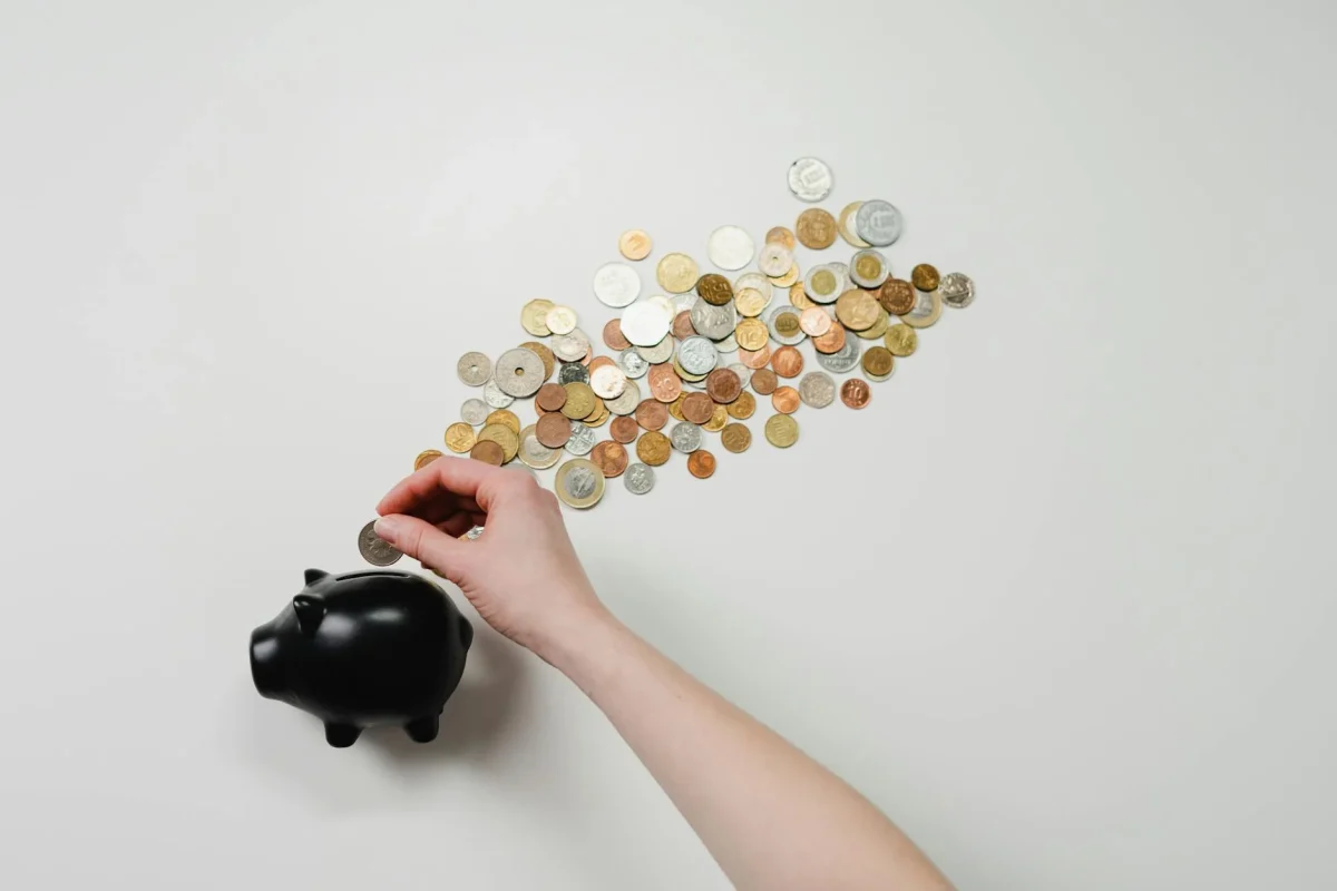 Money Savings Sustainable Living