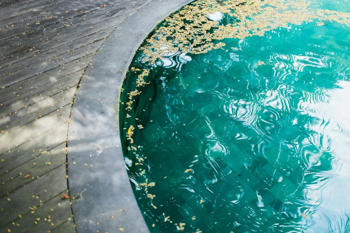 Jasa Pasang Lantai Parket Kayu Kolam Renang 2026 6 Pool Maintenance Wood Oiling