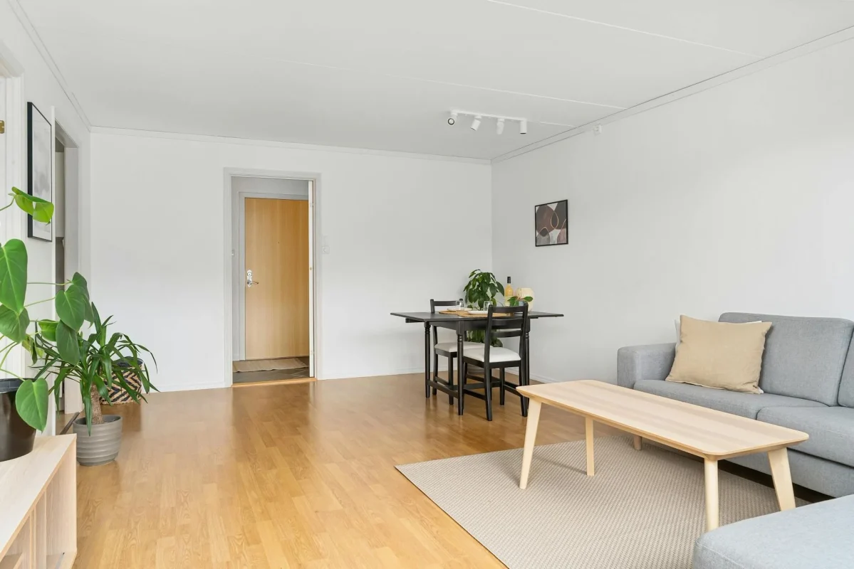 Scandinavian Living Room Bedroom Floor