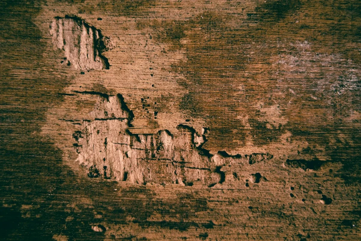 Scratched Wood Liquid Spill