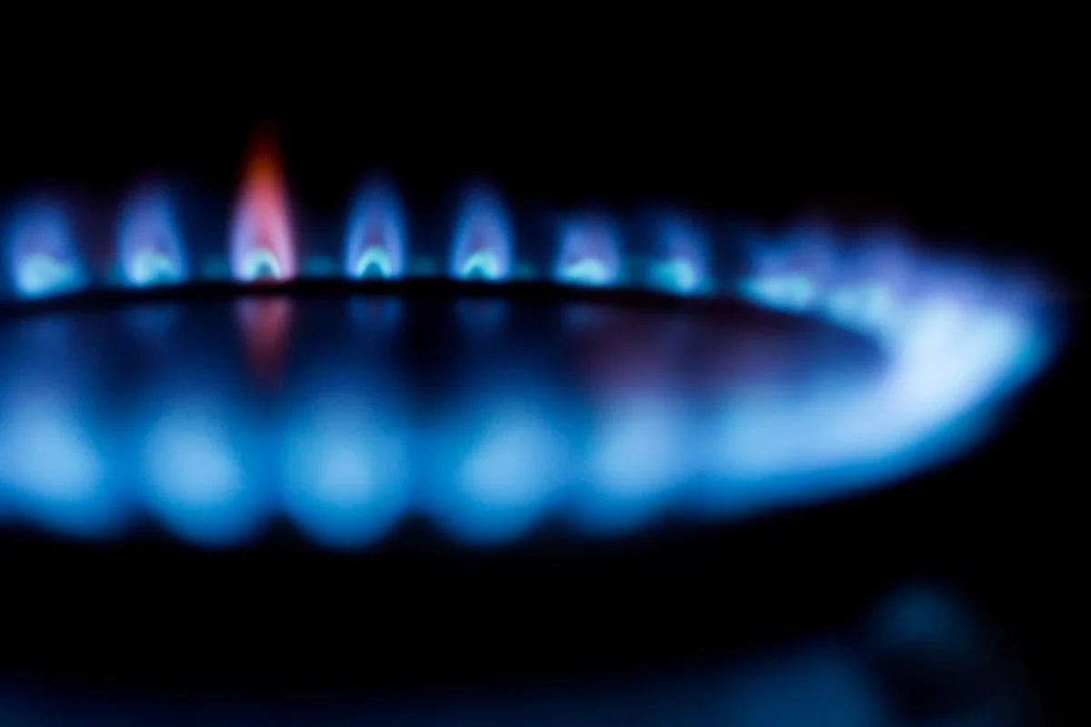 Apa yang Harus Dicek Saat Beli Parket? Tips Ahli 2026 4 Sertifikasi Ketahanan Gores Dan Keamanan Emisi Gas