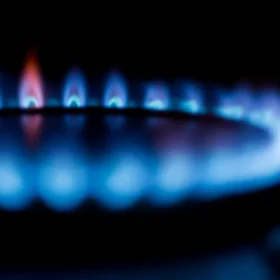 Apa yang Harus Dicek Saat Beli Parket? Tips Ahli 2026 8 Sertifikasi Ketahanan Gores Dan Keamanan Emisi Gas