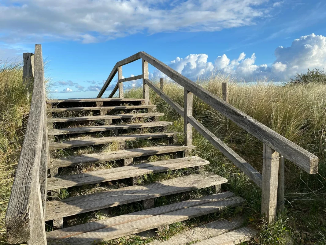Foto oleh Guel Schmeck di Pexels Stair Nosing Wood Stairs