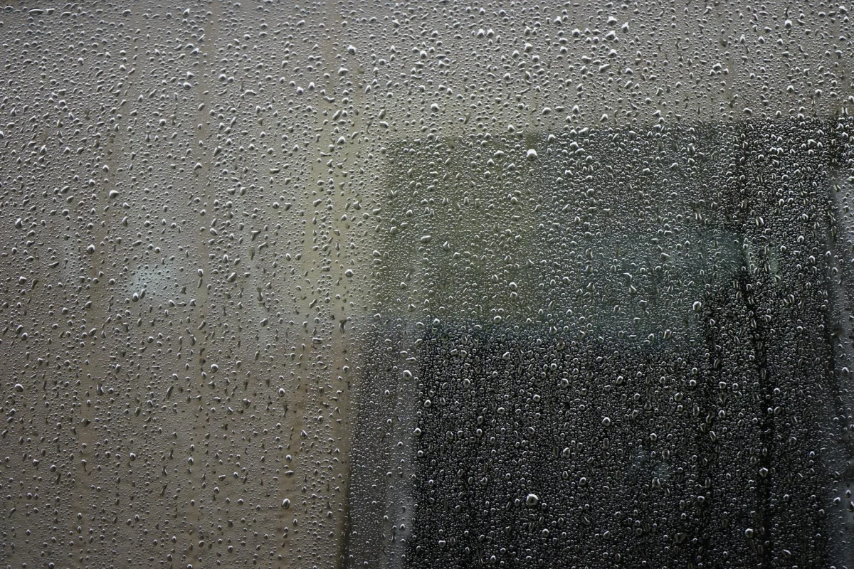 Berapa Lama Umur Pakai Lantai Parket? Cek Faktanya 2026 4 Sunlight Window Water Spill