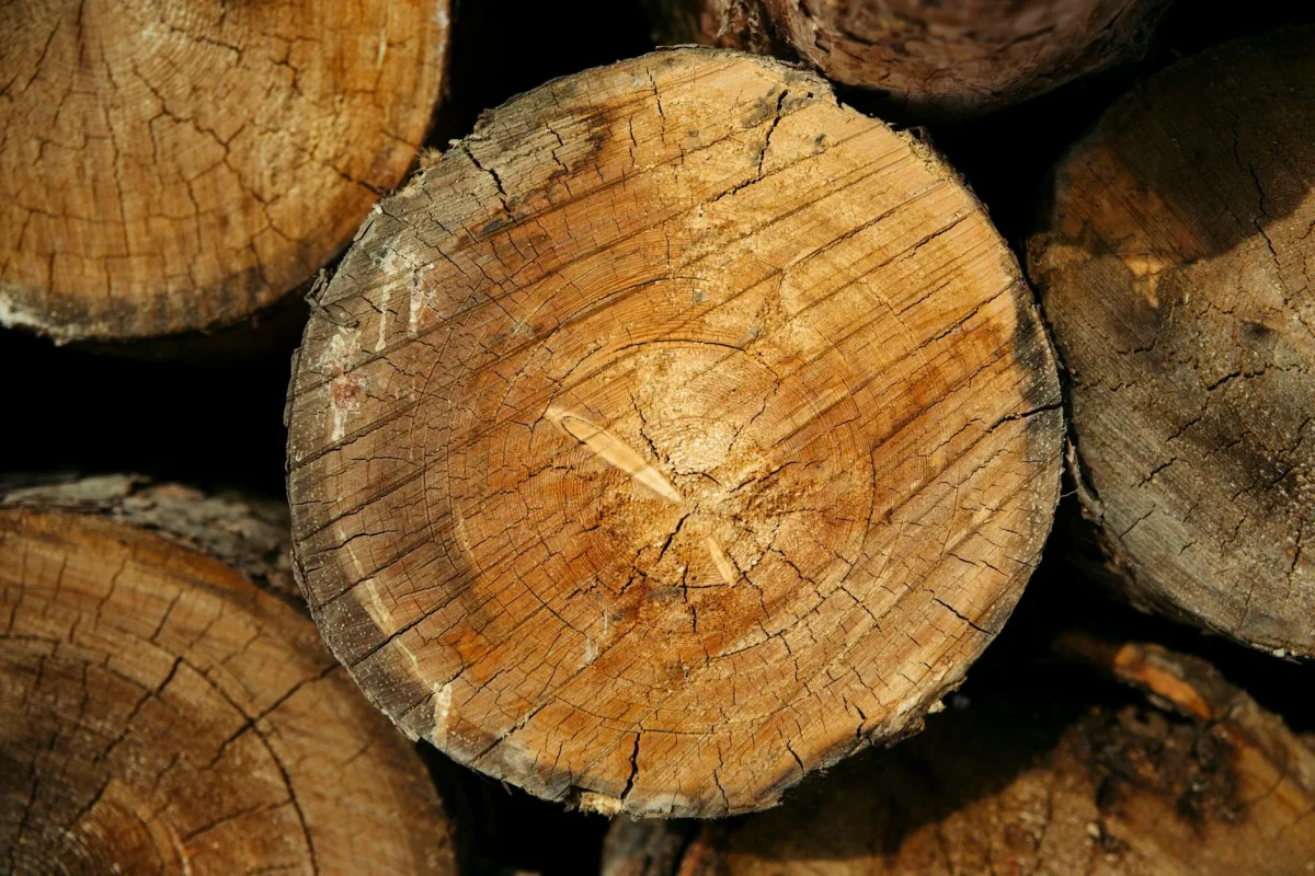 Lantai Parket Kayu Tahan Cuaca Panas Hujan Terbaik 2026 3 Teak Wood Ironwood Timber