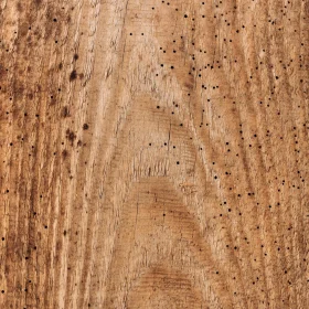 Karakteristik Lantai Parket Kayu Sonokeling 2026 9 Termite Resistant Clean Wood