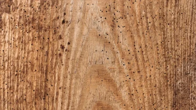 Termite Resistant Clean Wood