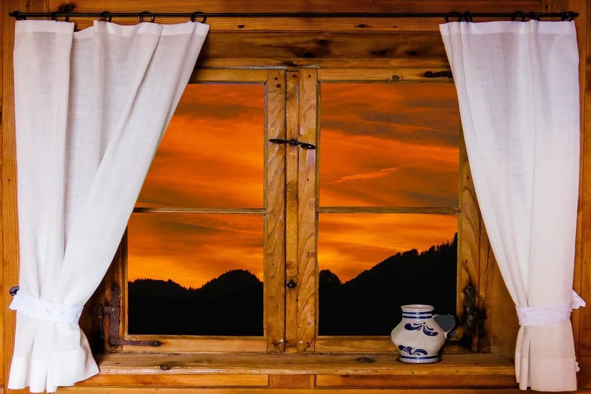 Apa Tanda Parket Kayu Kena Rayap? Kenali & Atasi Segera! 4 Termite Wings Window Sill