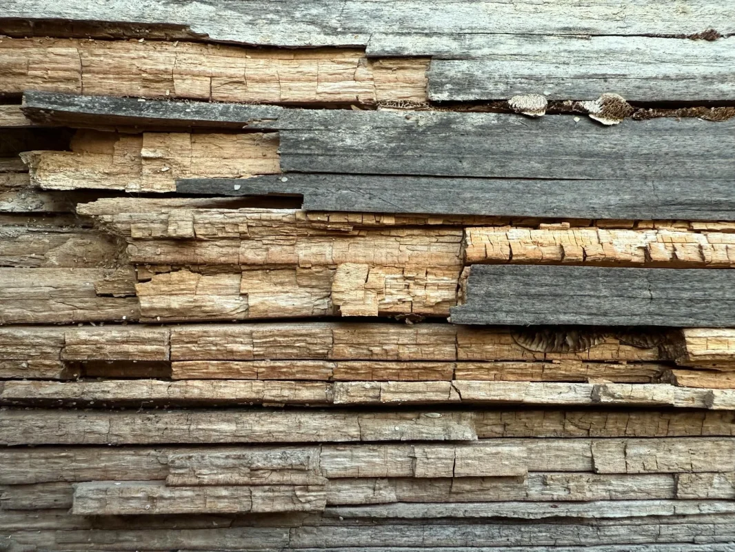 Apakah Suntik Anti Rayap Efektif untuk Parket? 2026 1 Termites Damaged Wood