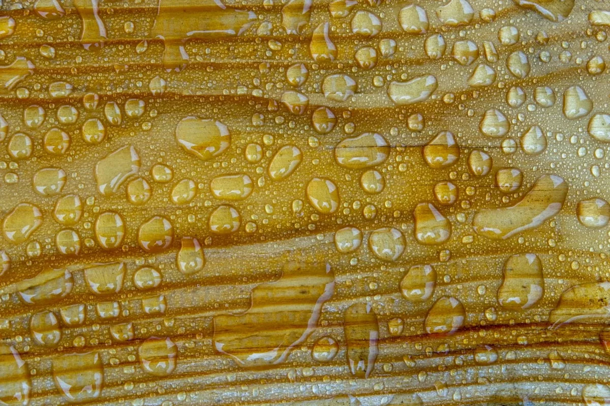Foto oleh sergeispas di Pexels Tongue And Groove Glue Down