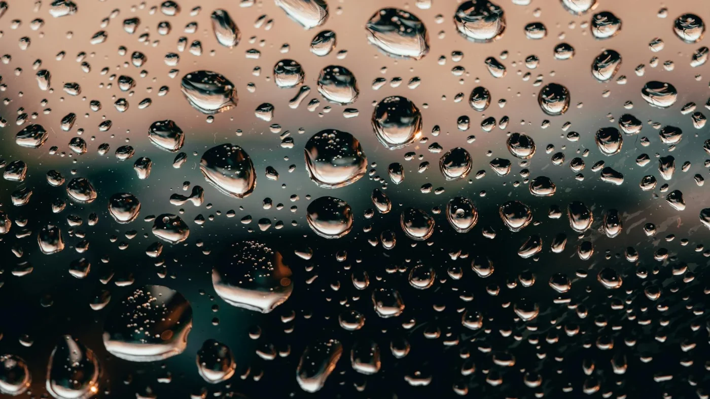 Foto oleh Stanislav Kondratiev di Pexels Water Drops Wood Protection