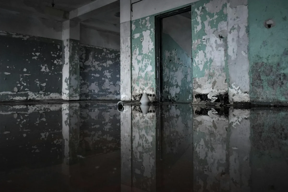 Cara Mengkilapkan Lantai Parket Kayu Kusam 2026 5 Wet Floor Damage