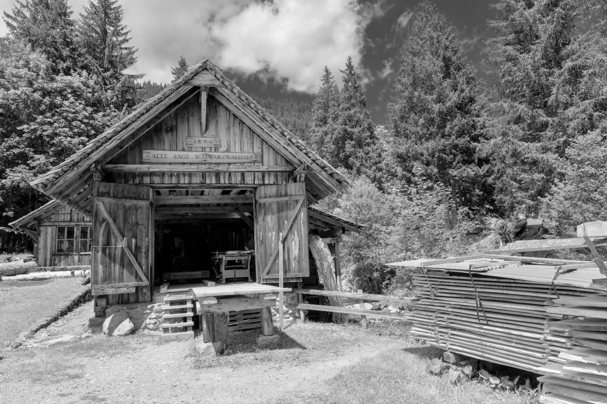 Foto oleh Jean-Paul Wettstein di Pexels Wood Cutting Sawmill Machine