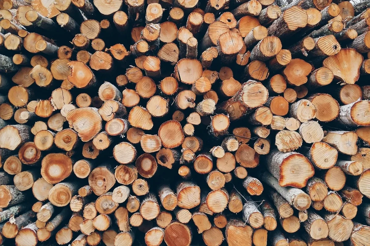 Jasa Lantai Kayu Lapangan Basket Jakarta 2026 2 Wood Flooring Timber Samples