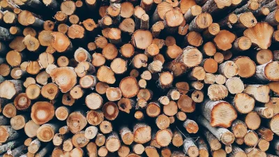 Wood Flooring Timber Samples