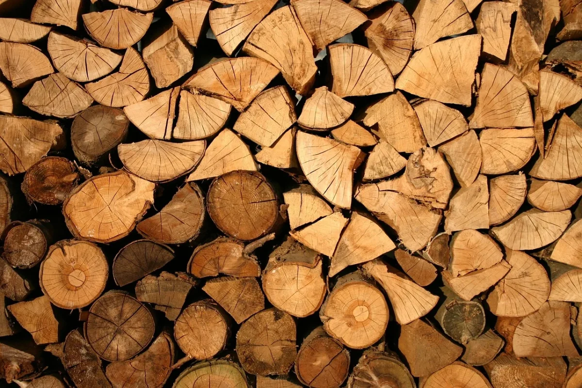 Apakah Lantai Parket Kayu Ramah Lingkungan? Cek Faktanya! 1 Wood Forest Timber Log