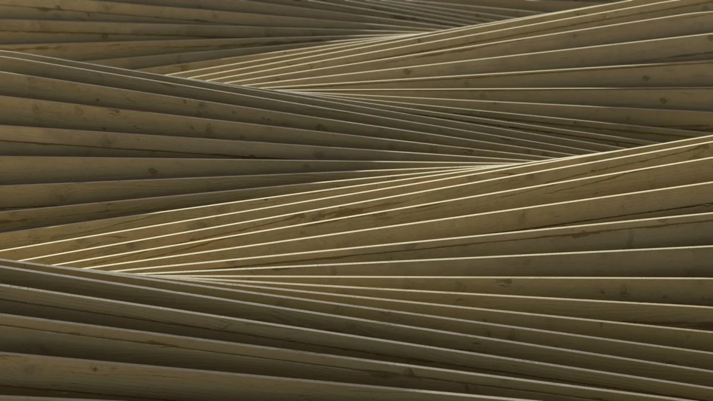 Wood Layers Plywood Structure