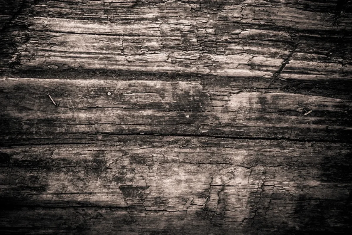 Apa Penyebab Parket Kayu Berjamur? Solusi & Pencegahan 2026 3 Wood Planks Timber