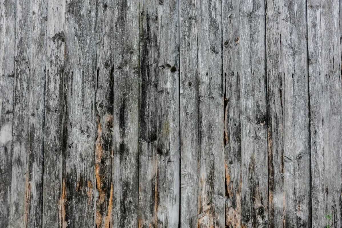 Foto oleh Street Donkey di Pexels Wood Planks Timber Texture